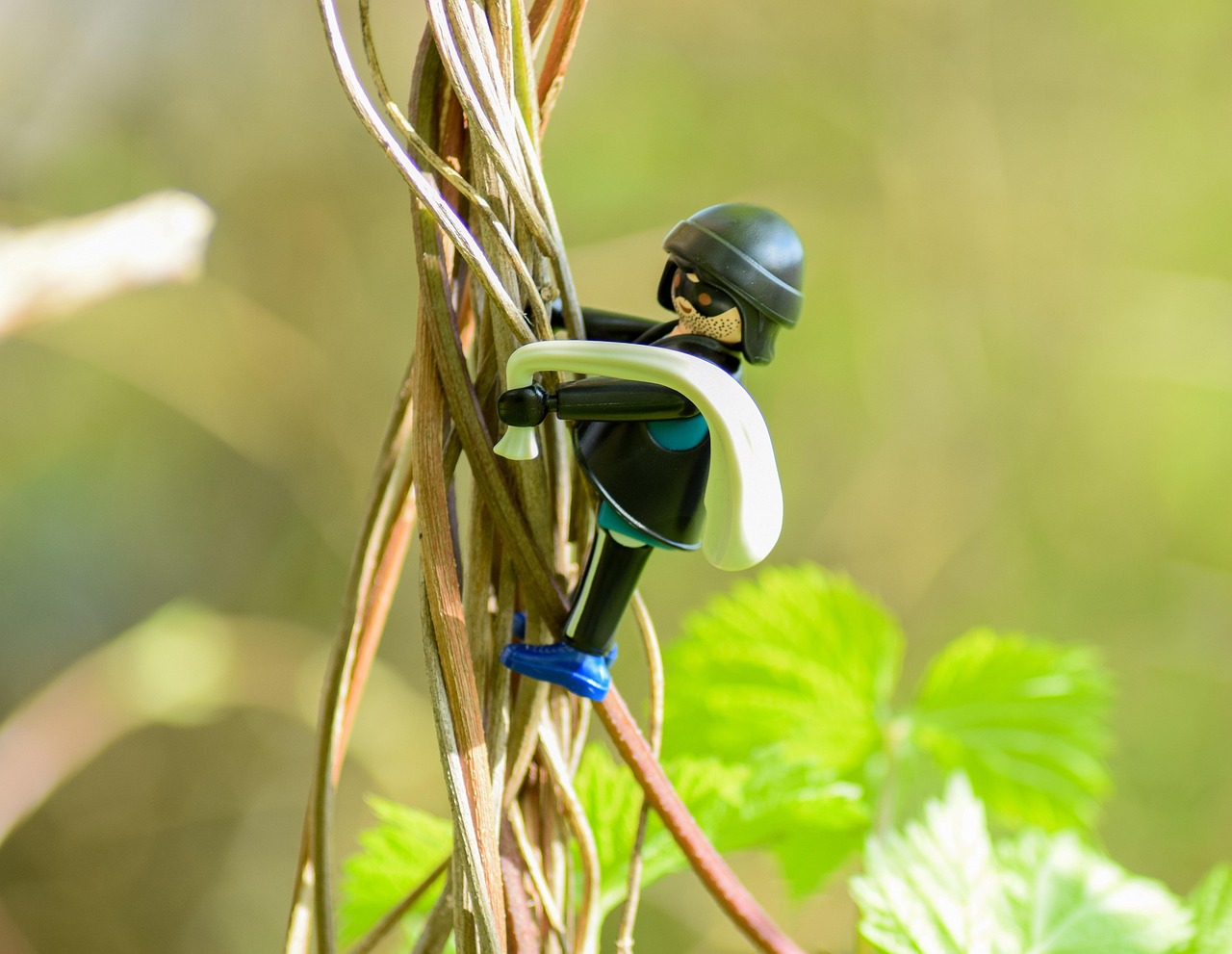 犯罪团伙最新动态深度解析与揭秘