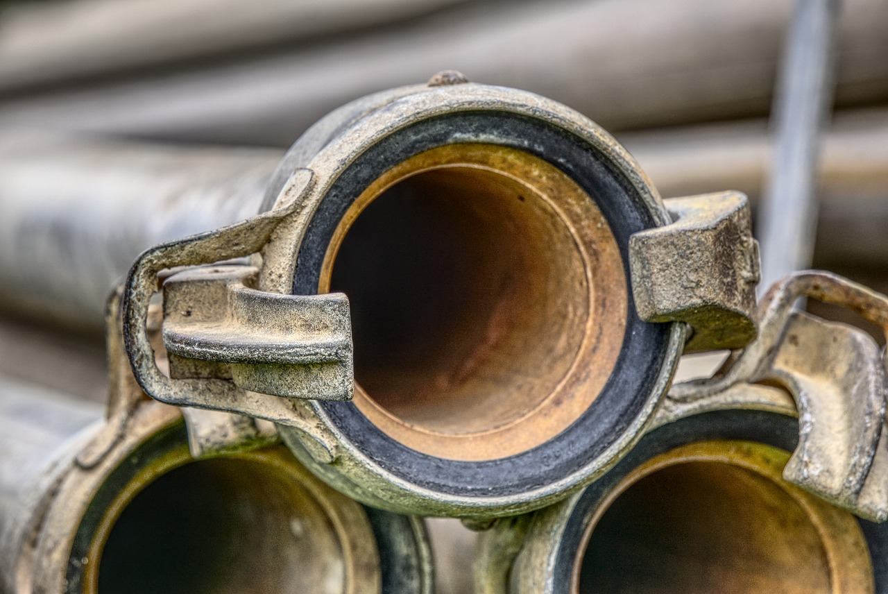 玉米今日动态,市场走势、产业进展与未来展望