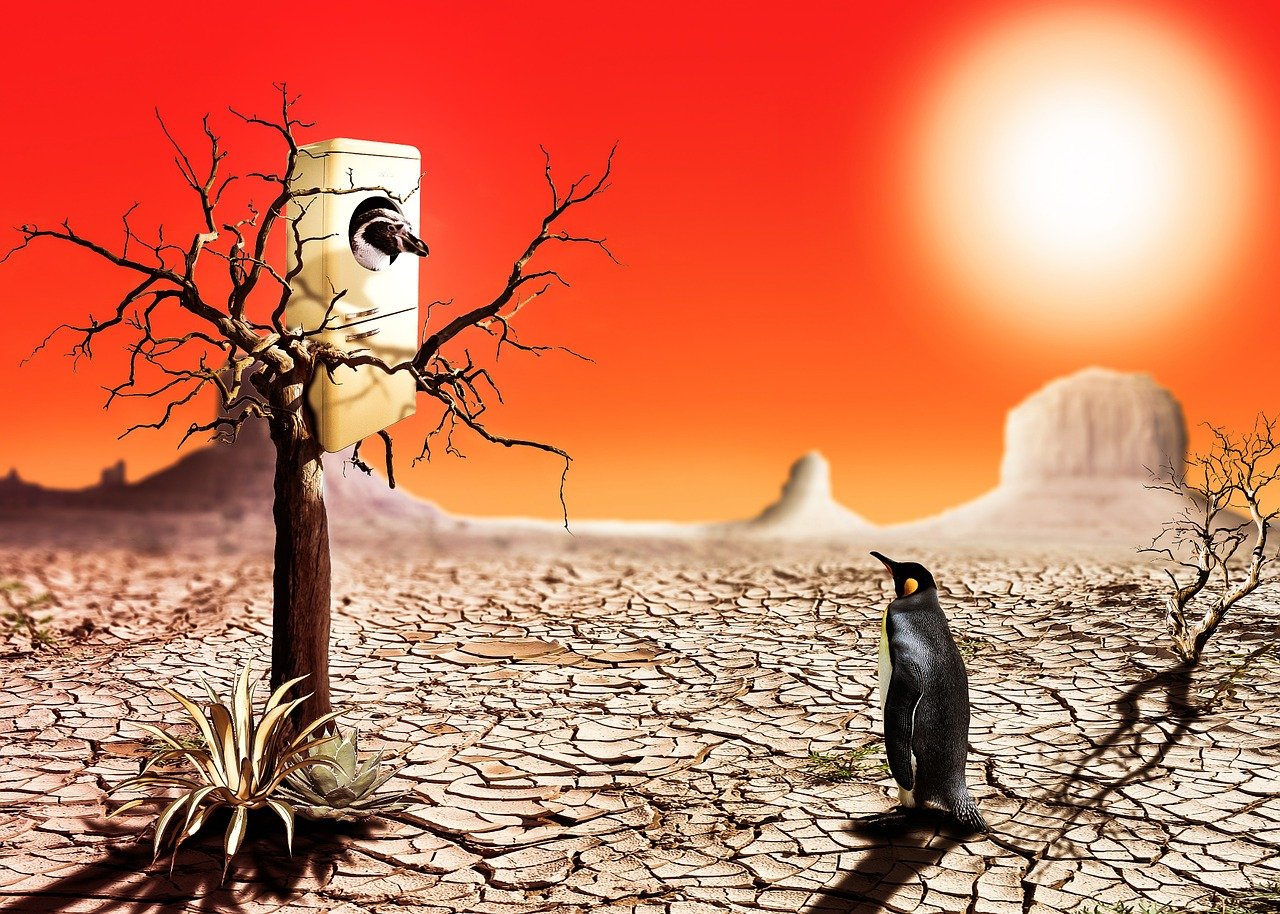 最新热门绕口令,挑战魅力与极限!