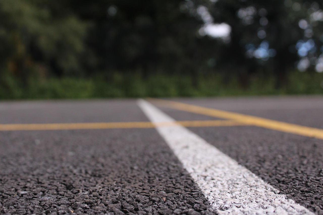 萨日朗最新动态,绽放的光芒照亮未来之路