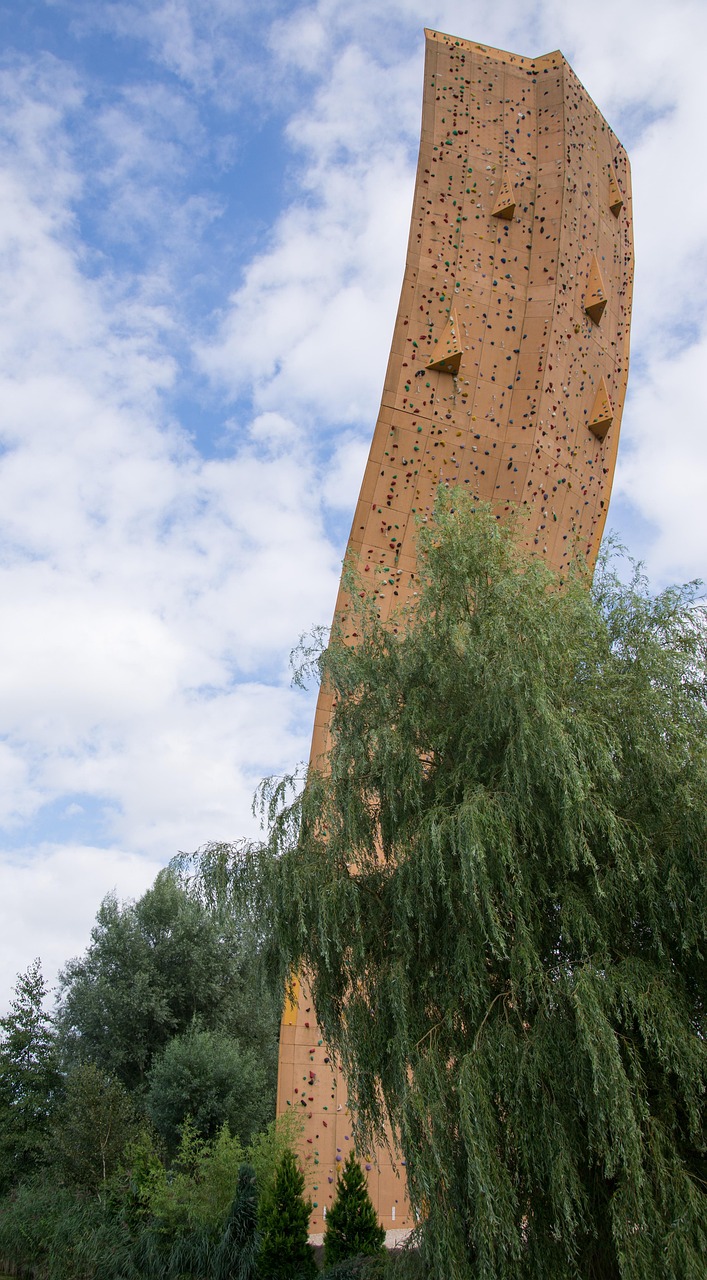 谢上薰的最新动态与成就概览