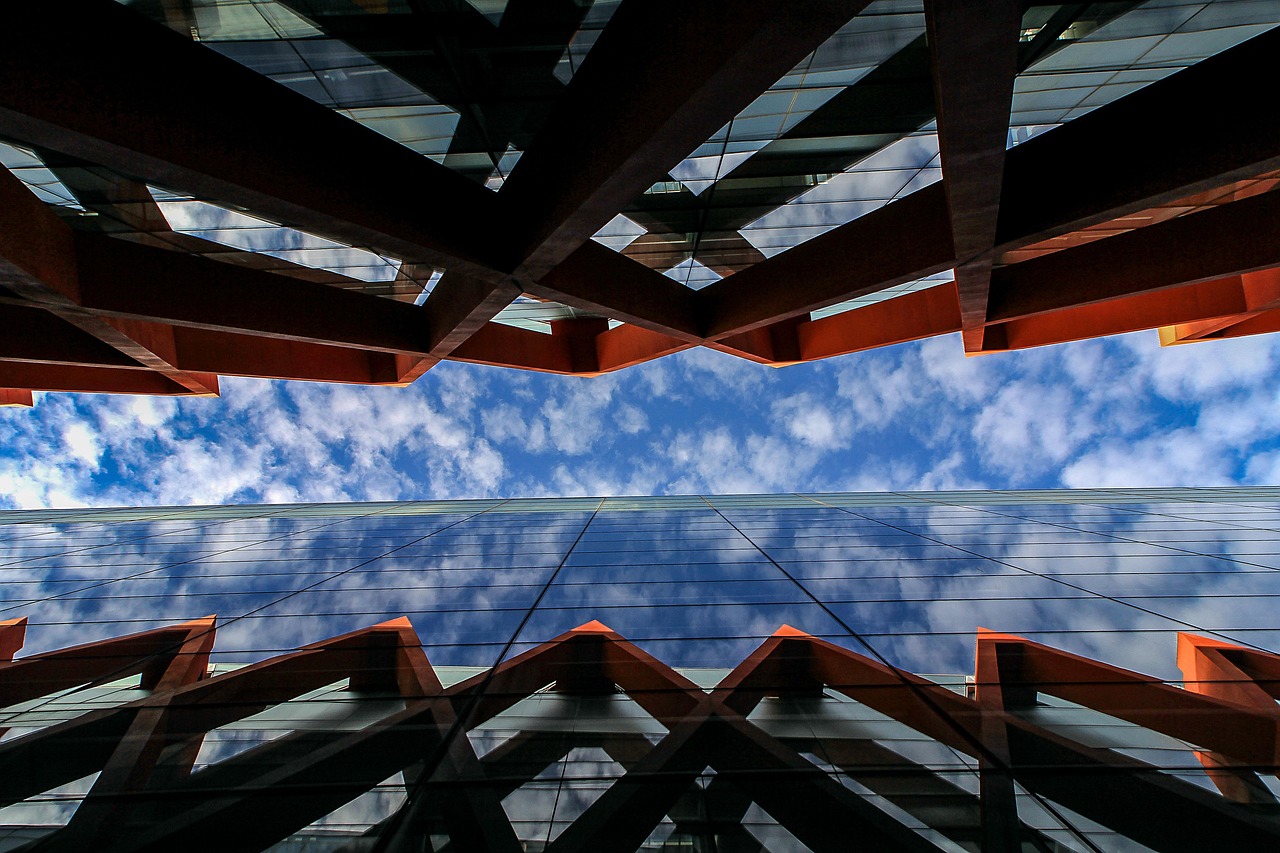 白红敏的最新动态与成就概述