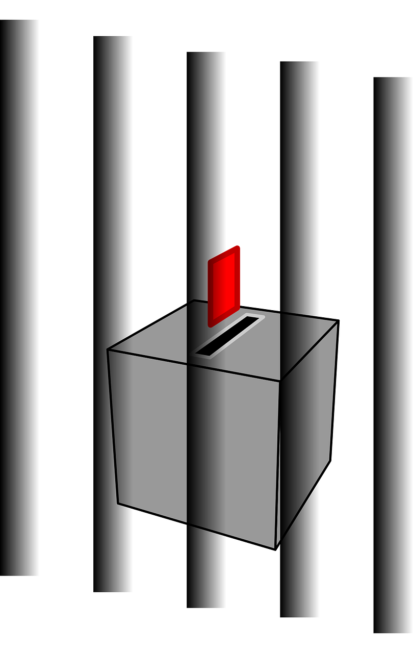 肉鸭最新价格动态,影响产业的市场走势分析