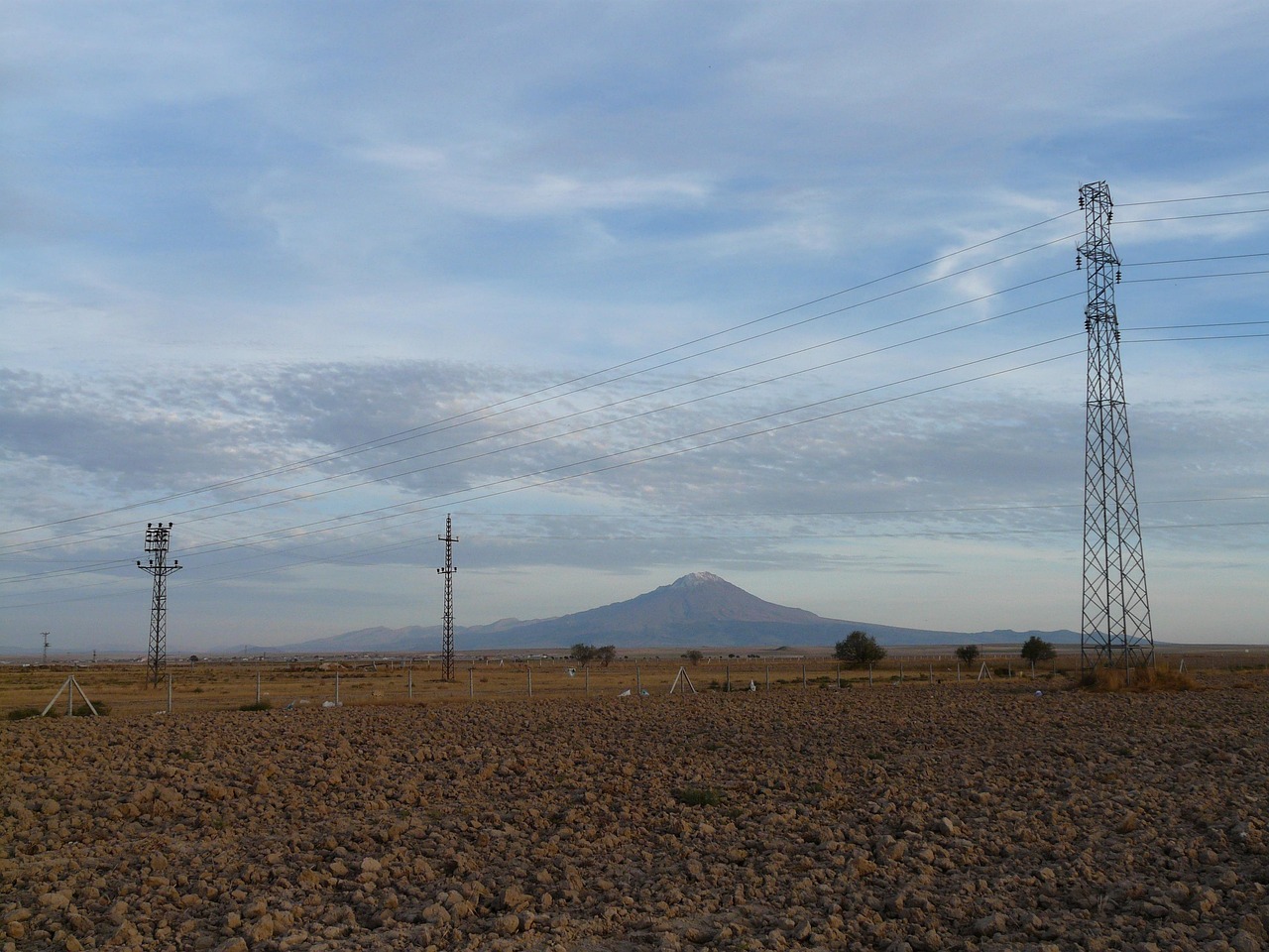 汪选璇的最新动态与成就概览