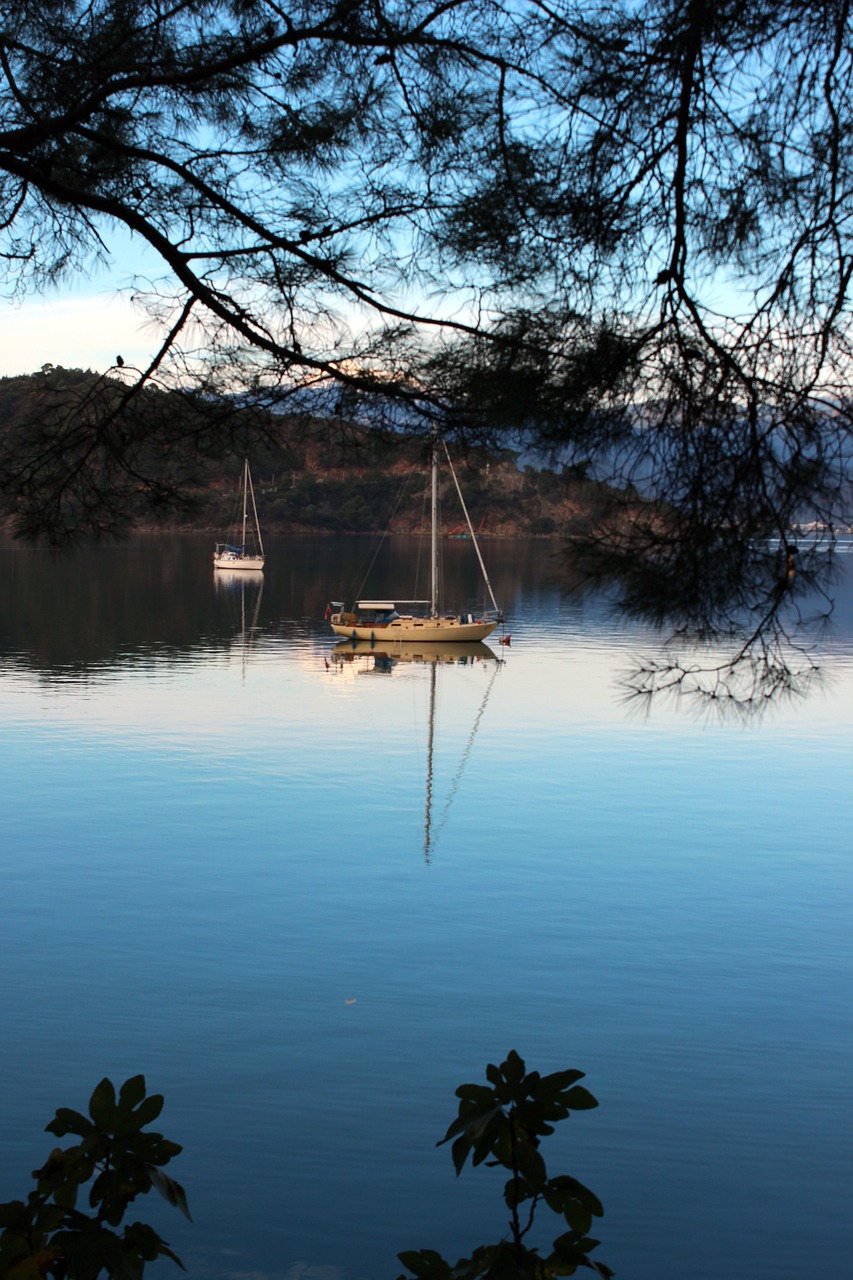 梦泪比赛最新动态,热血竞技再现荣耀时刻