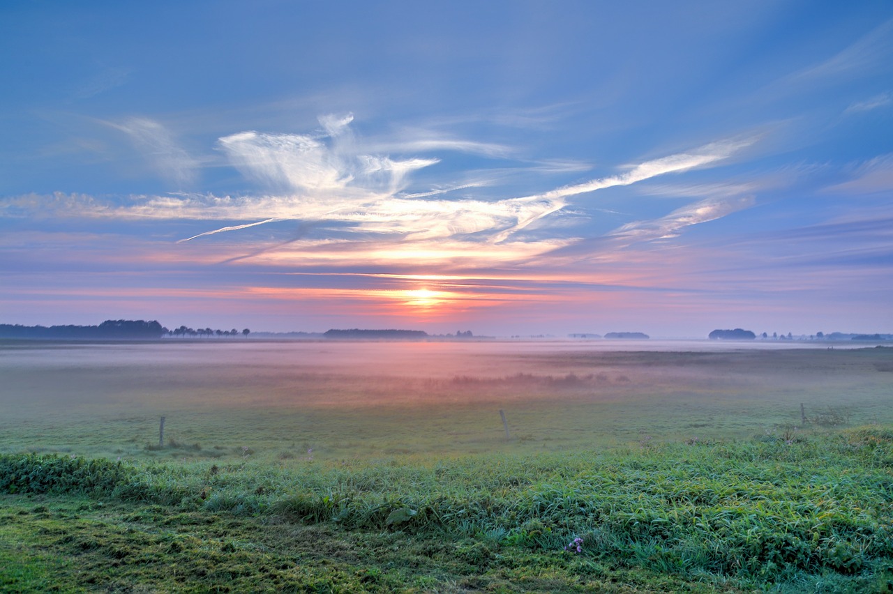 引领时代潮流的最新发布动态