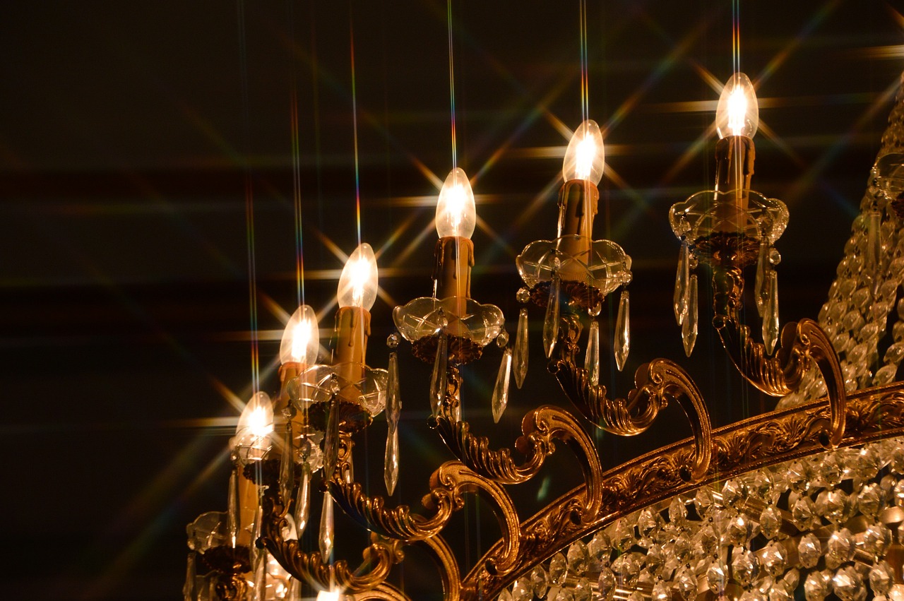 百宠部落 第17页