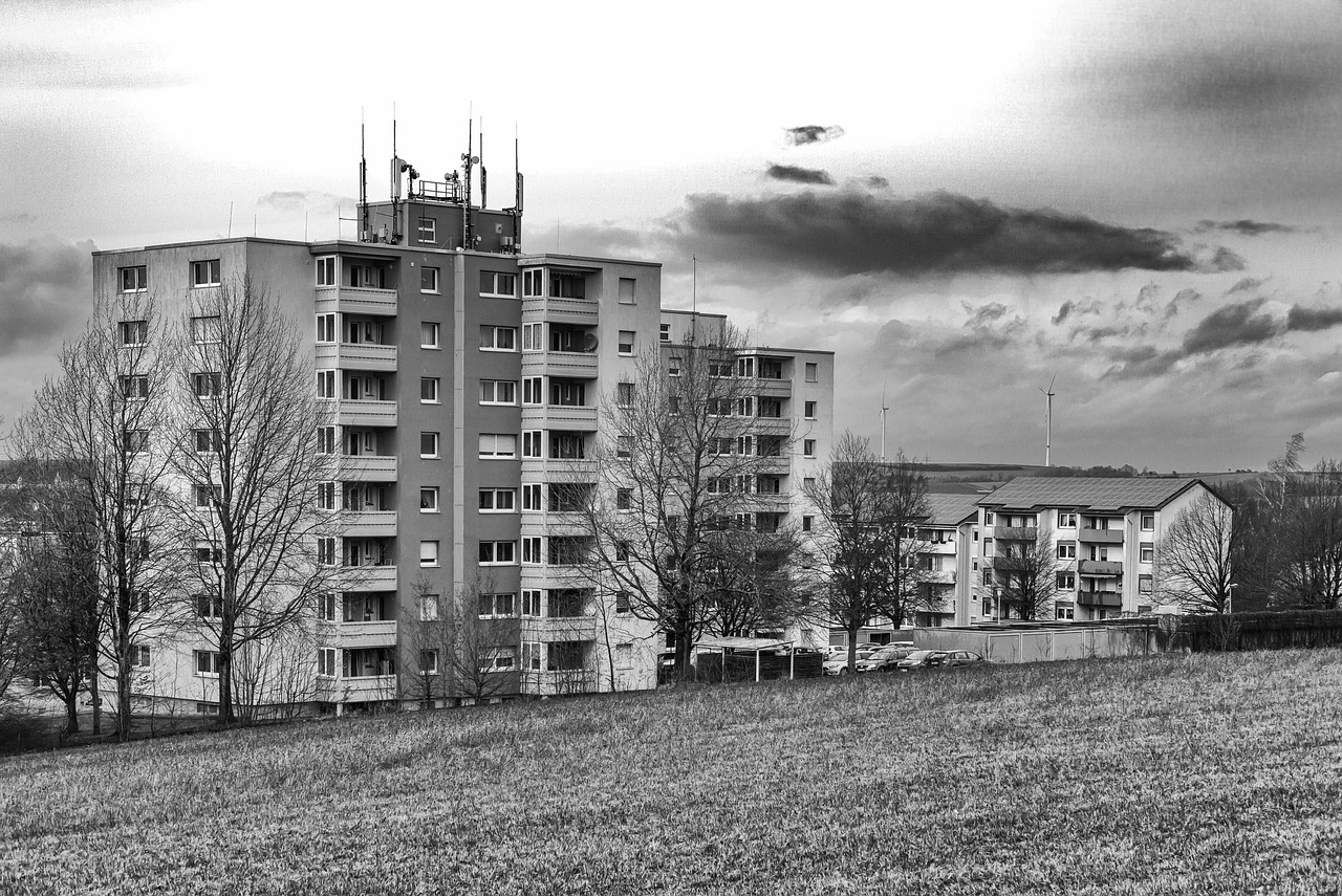 临淄最新文，历史与现代的交融之美展现当代风采