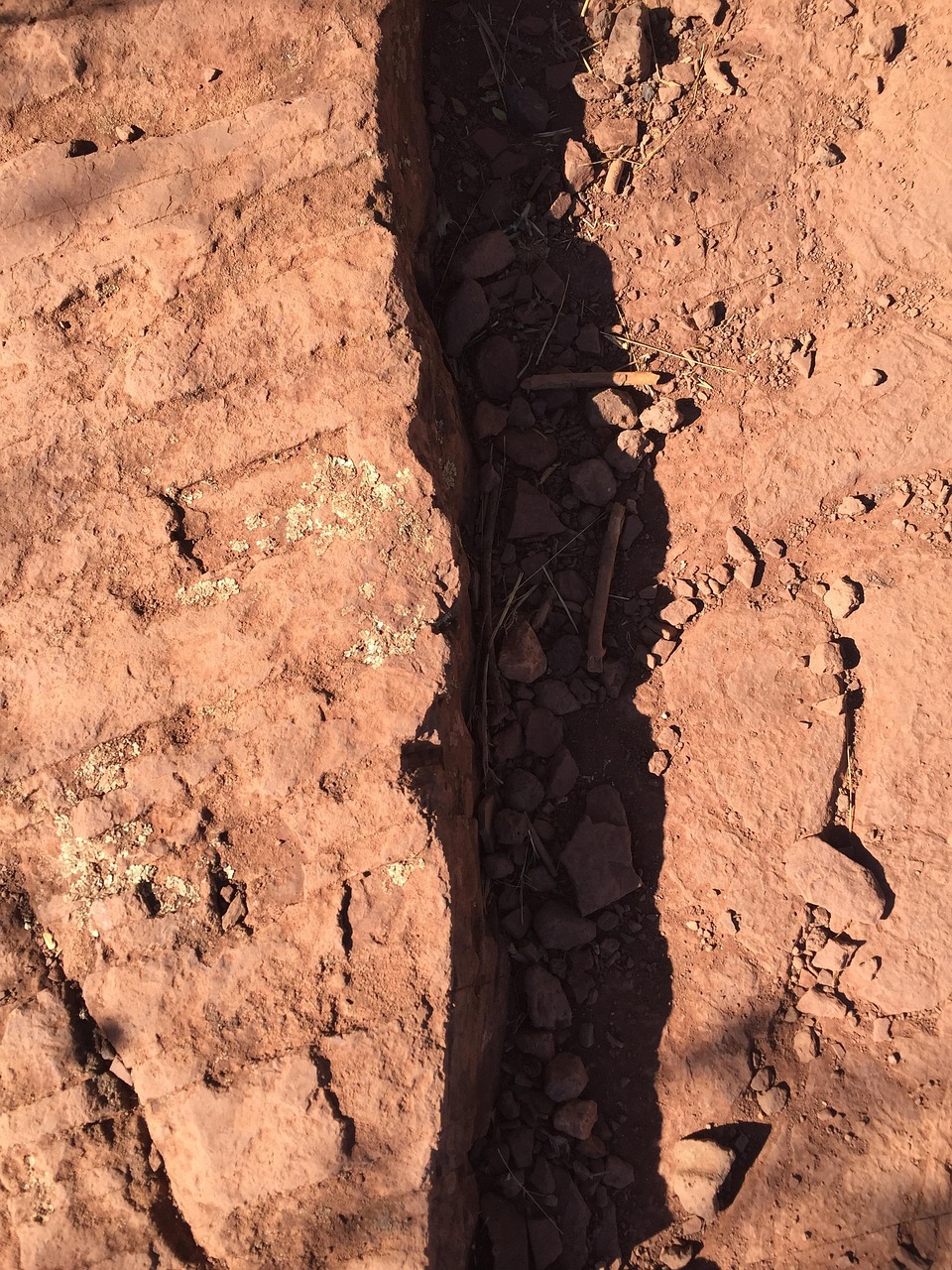 雷句诚最新动态,探索未来无限可能