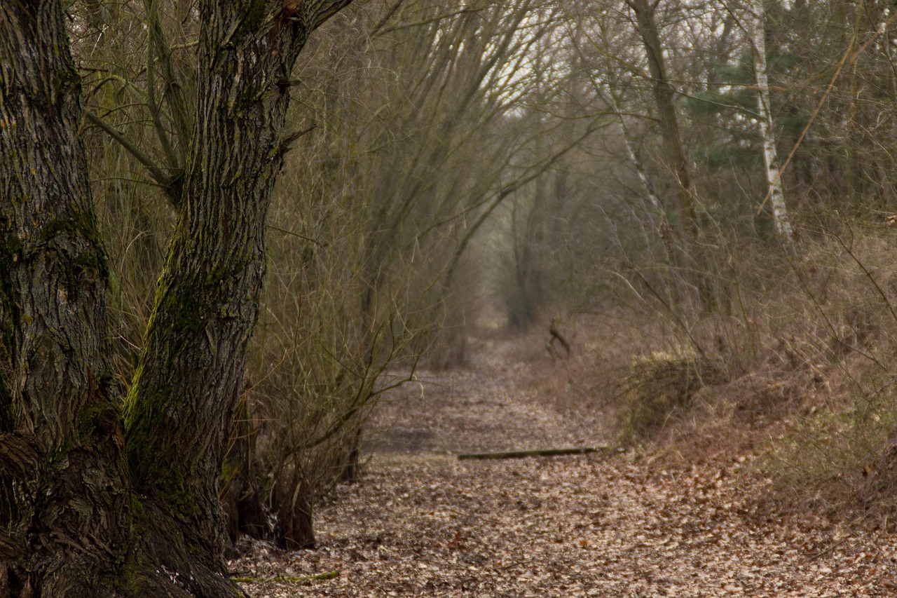最新贵金属市场动态及其影响概览