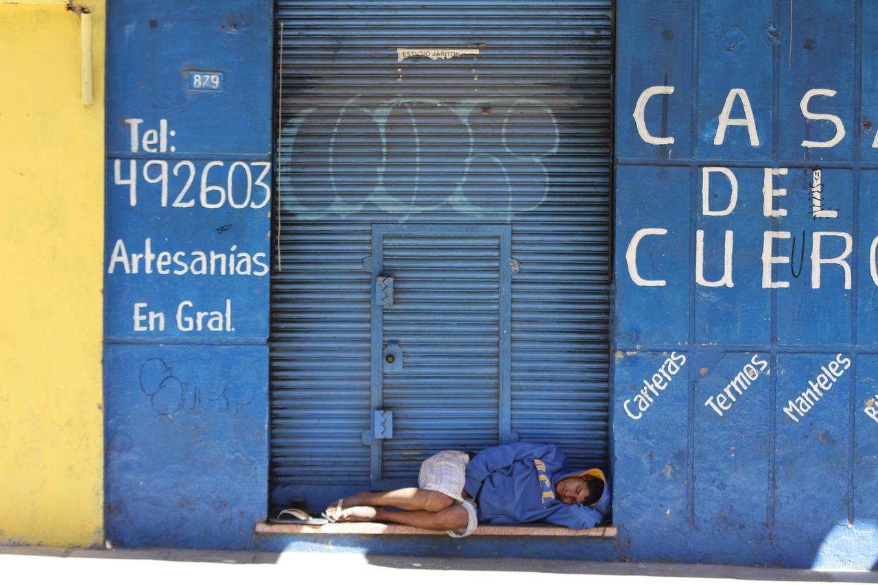 最新牛牛官网,一站式娱乐体验的新高地