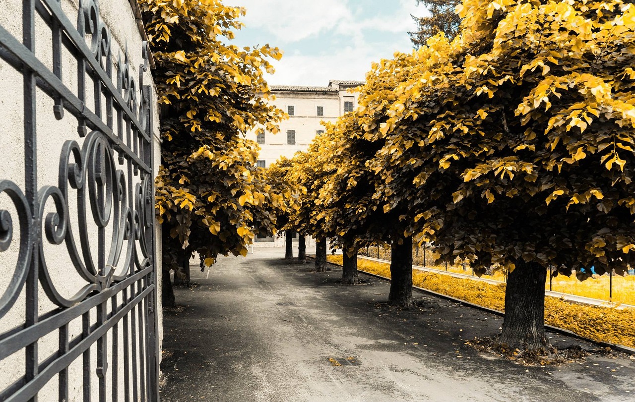 新怡家园,现代化宜居社区新标杆的最新动态