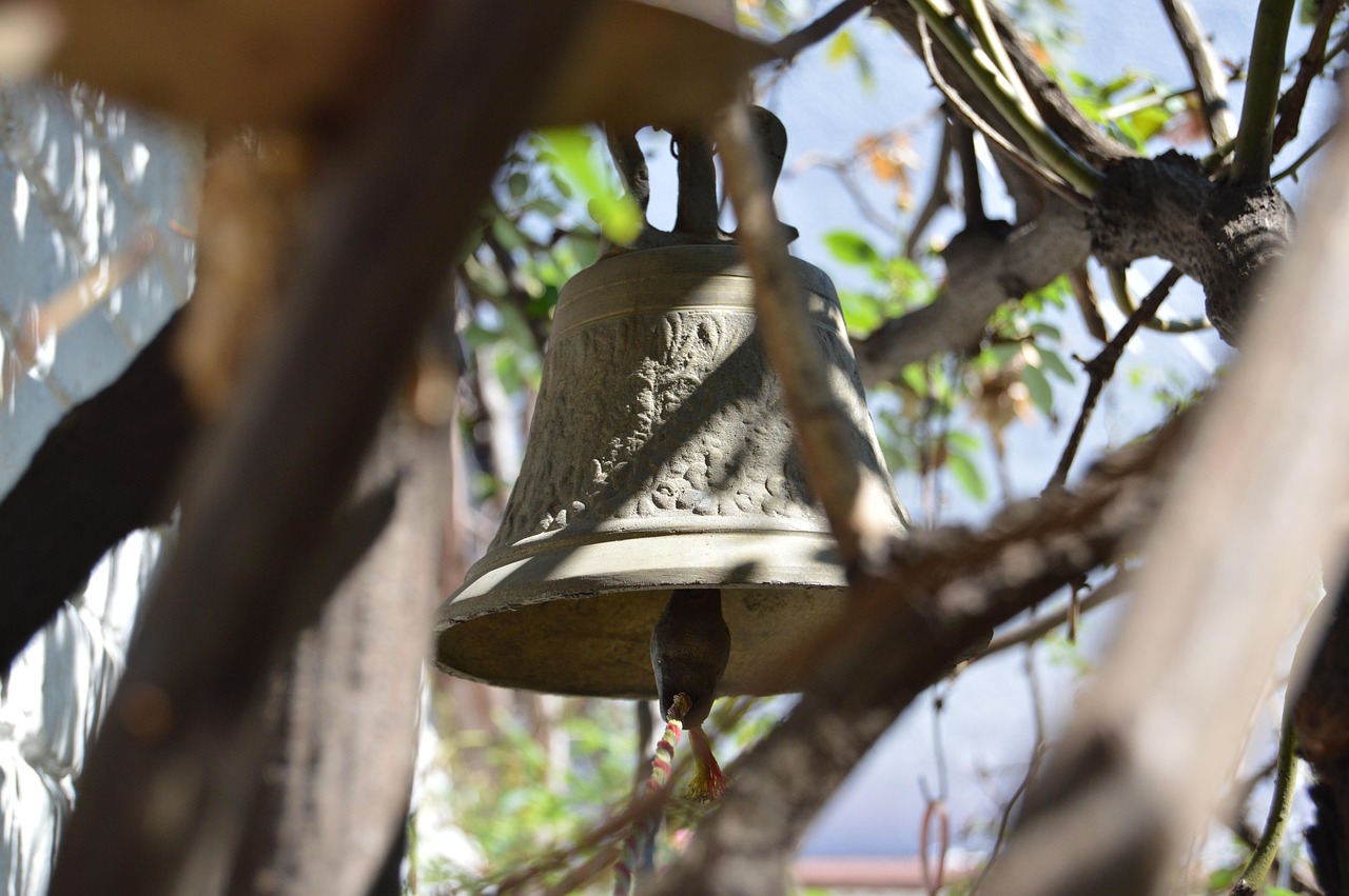 最新外汇普顿市场动态解析与趋势分析