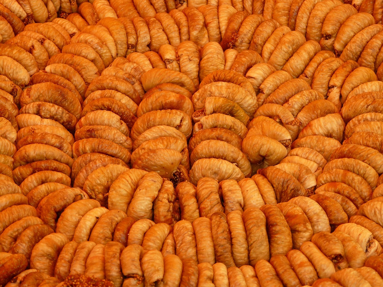 李建革最新动态,突破与创新并行的成就之路