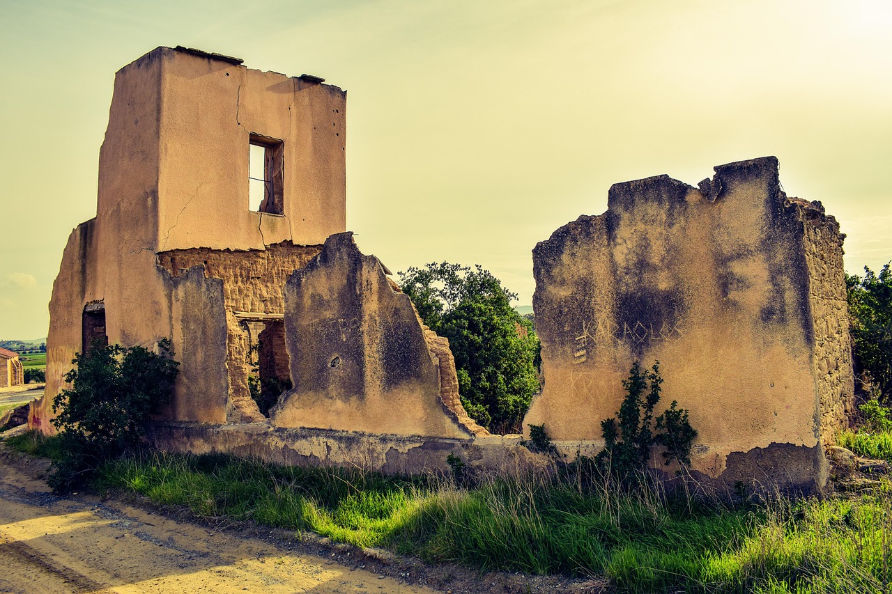 关于无房补贴的最新动态,政策调整与市场反应速递