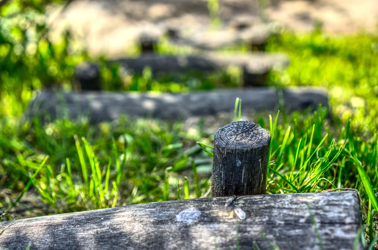 幽谷清歌 第15页