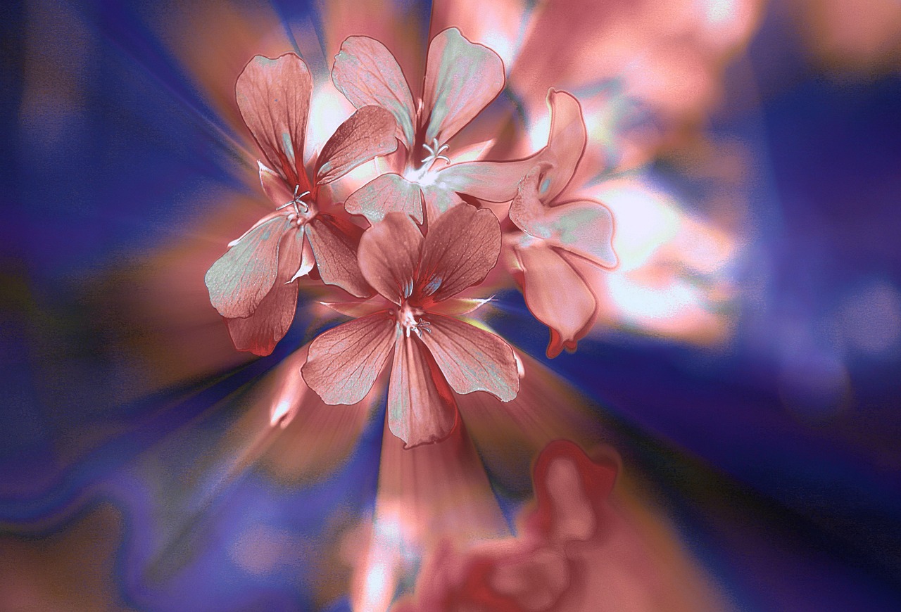 最新好番推荐,带你探索精彩的二次元世界