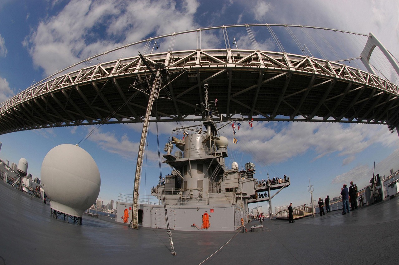 鱼最新病毒研究,挑战、进展与前景探索