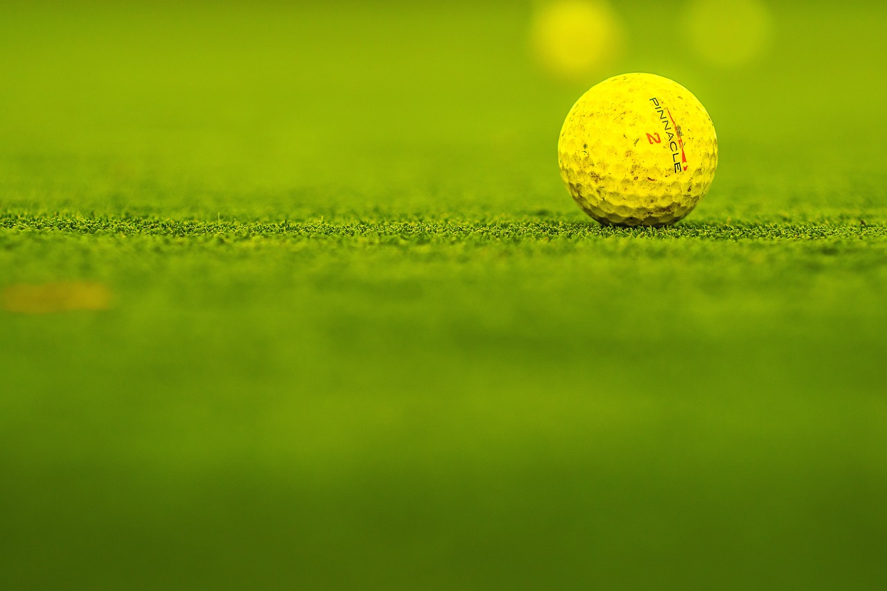 探索未知,超越巅峰,青莲之巅最新动态速递