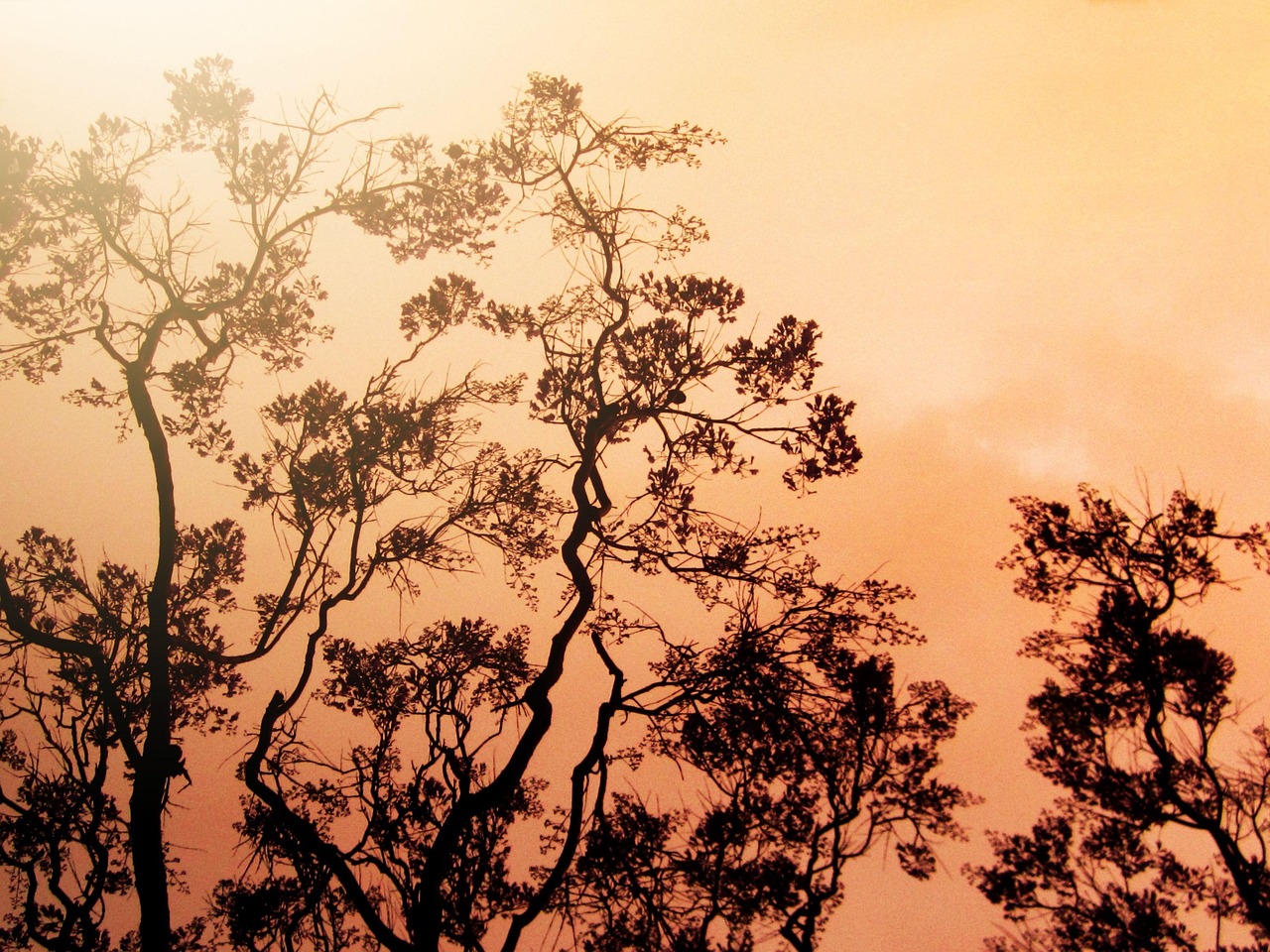 圣华物流最新动态,创新引领智能驱动的未来展望