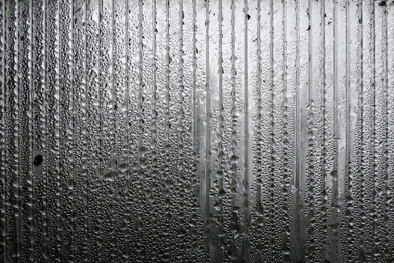 最新暴雨预警发布,暴雨天气应对策略指南