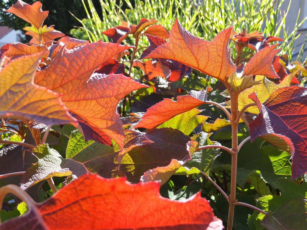 最新动态一情概览速递