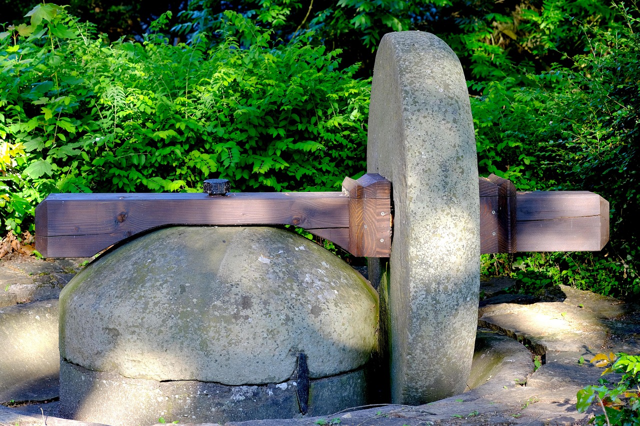 苏联最新新闻与历史交汇,现实动态揭秘