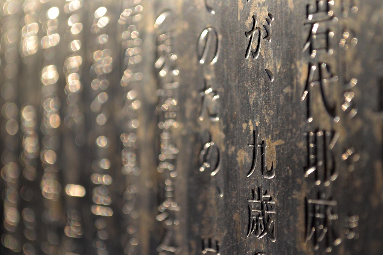 文化与技术的交融之旅,探索烤字最新笔顺与探索之旅