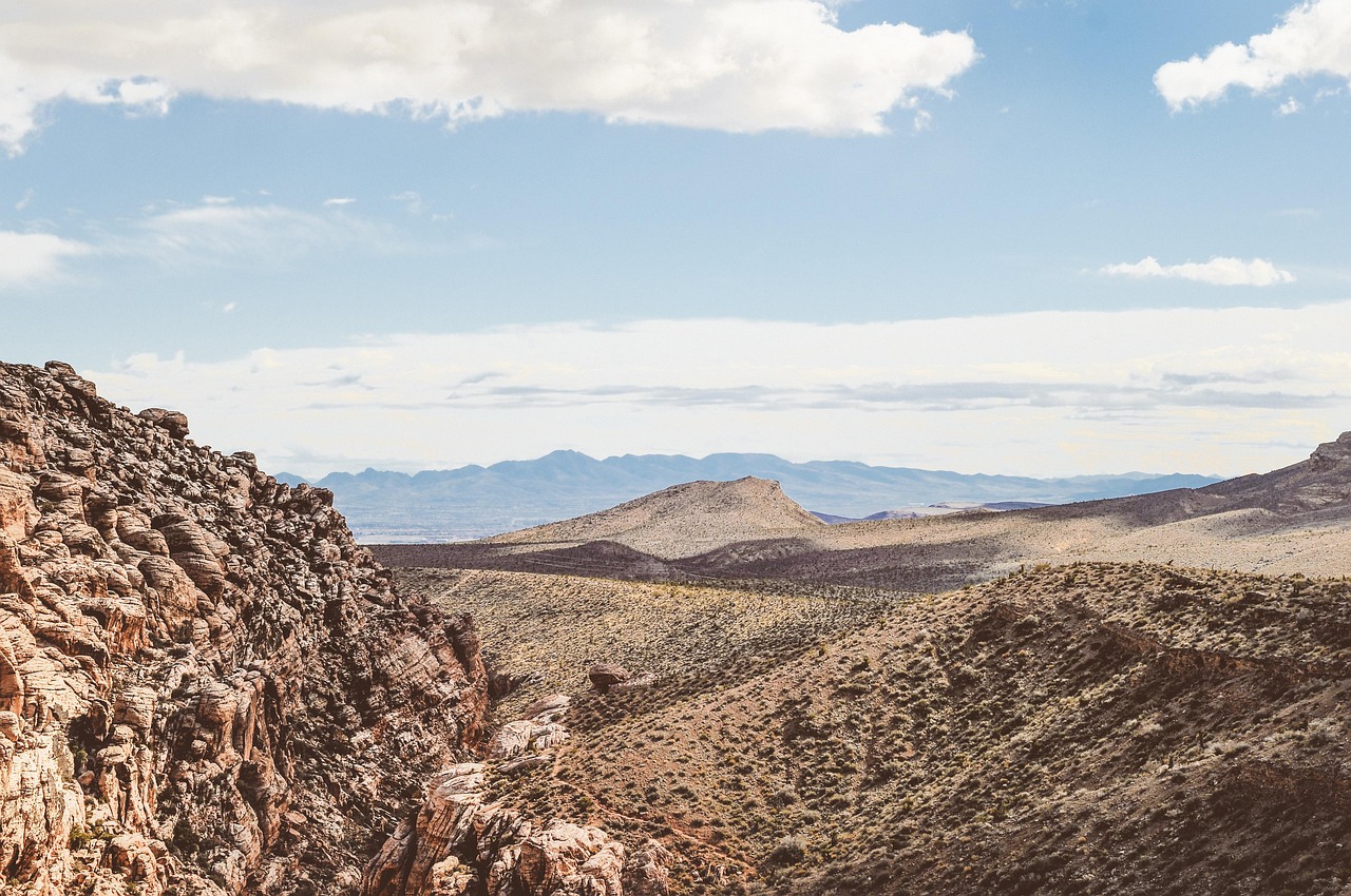 末日生存挑战与希望,死城僵尸最新动态探索