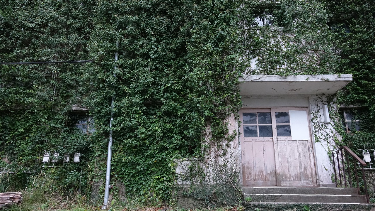 最新别墅图片大赏,探索现代住宅设计的趋势与魅力