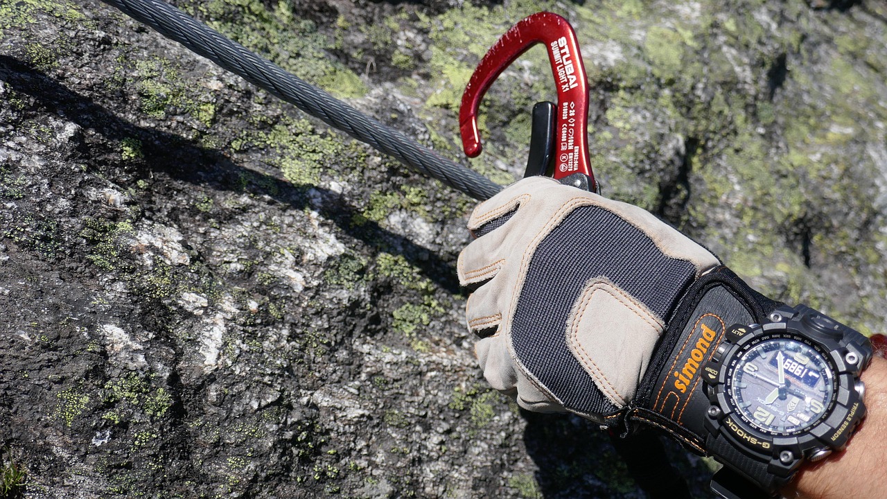 鳌江疫情最新动态,全面防控,共守家园安全