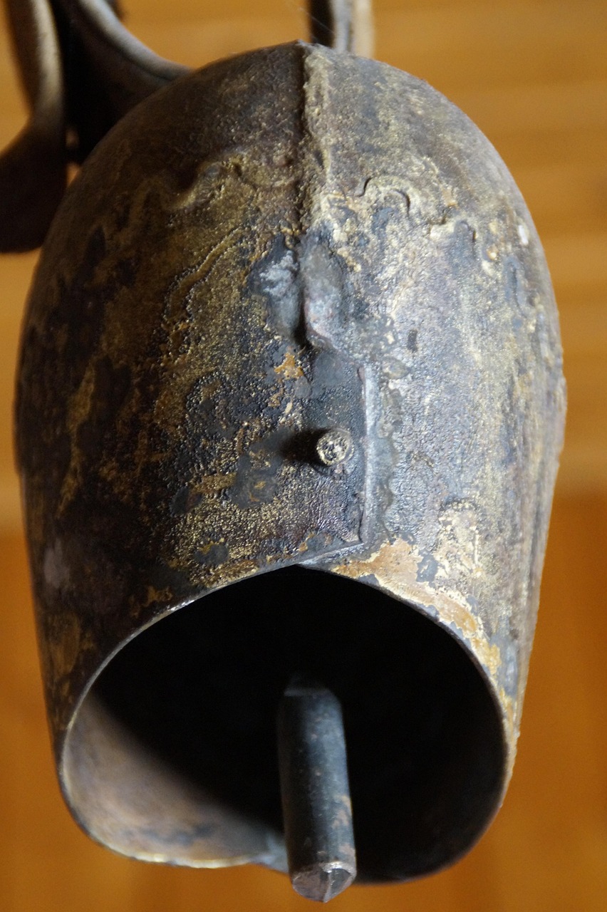 堕钟牛最新研究报告发布,最新动态与发现概述