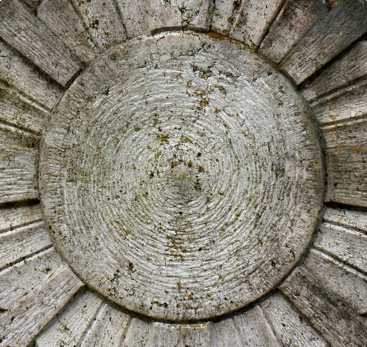 汪涵综艺最新动态,多元领域探索,无限魅力展现