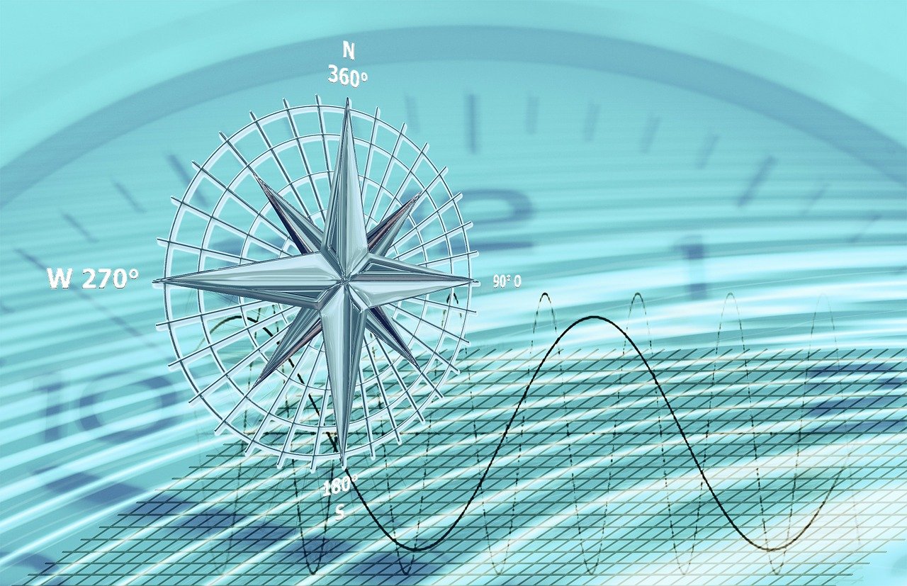 青鳅最新价格动态,市场走势、影响因素与未来趋势深度解析