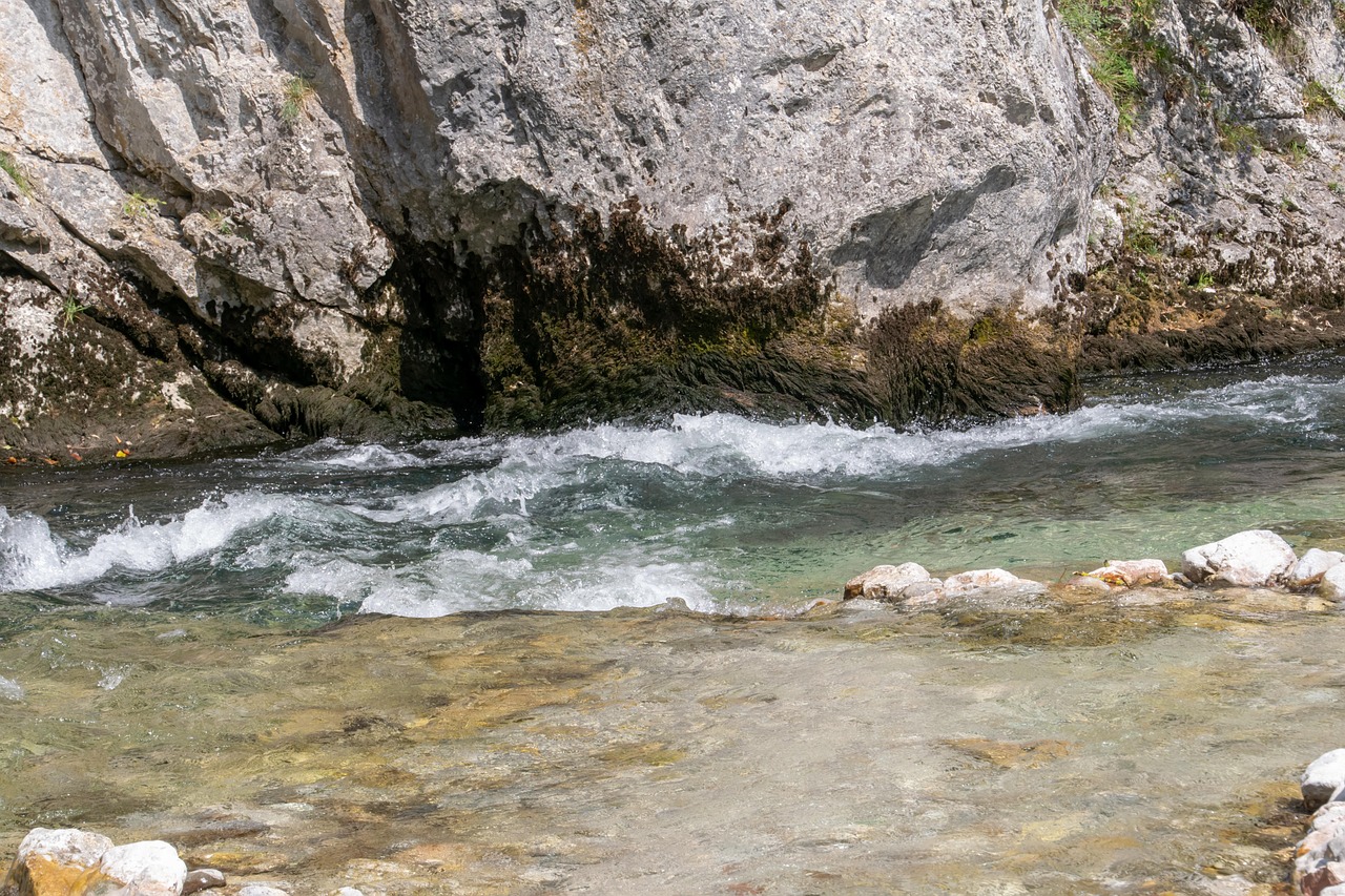 自然之美独特魅力,最新泥浴体验分享