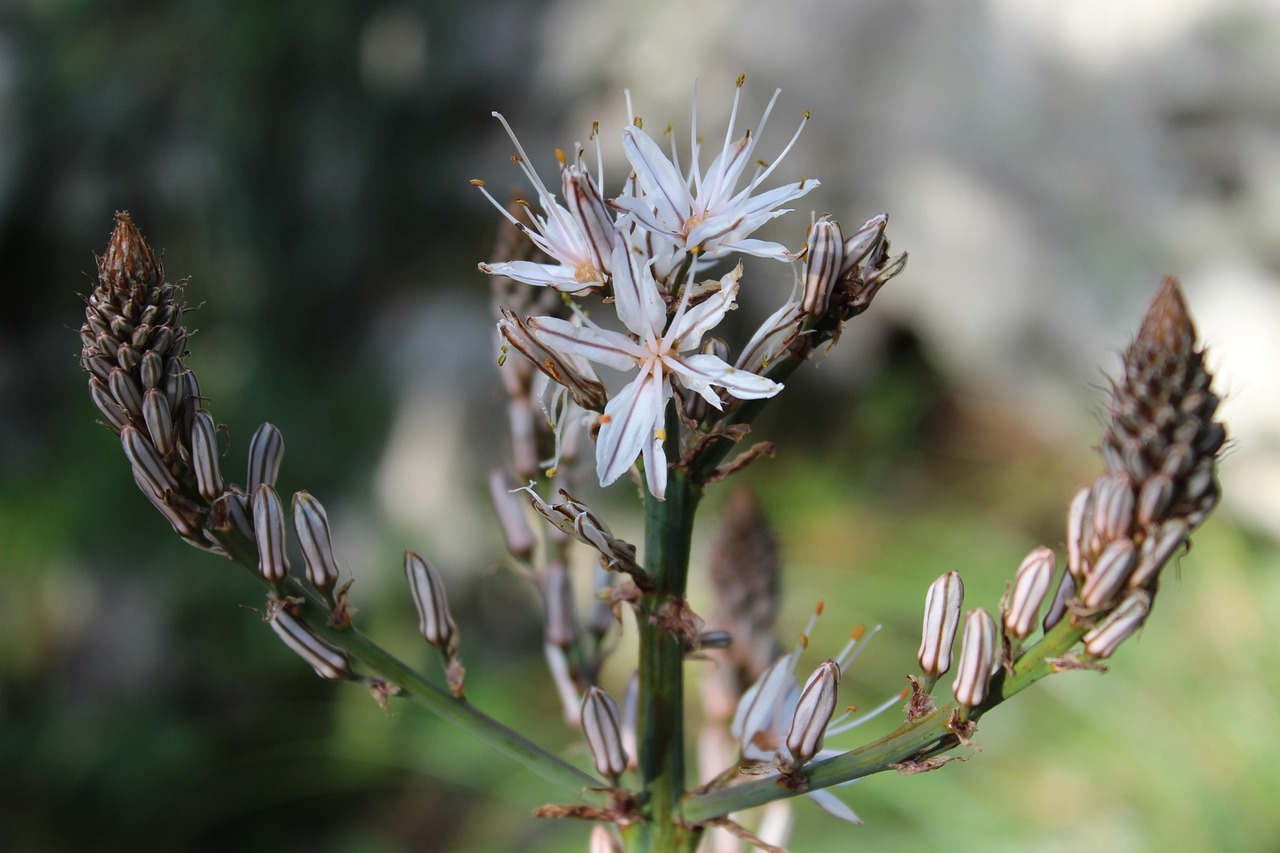 贵阳疫情最新动态,挑战与应对策略