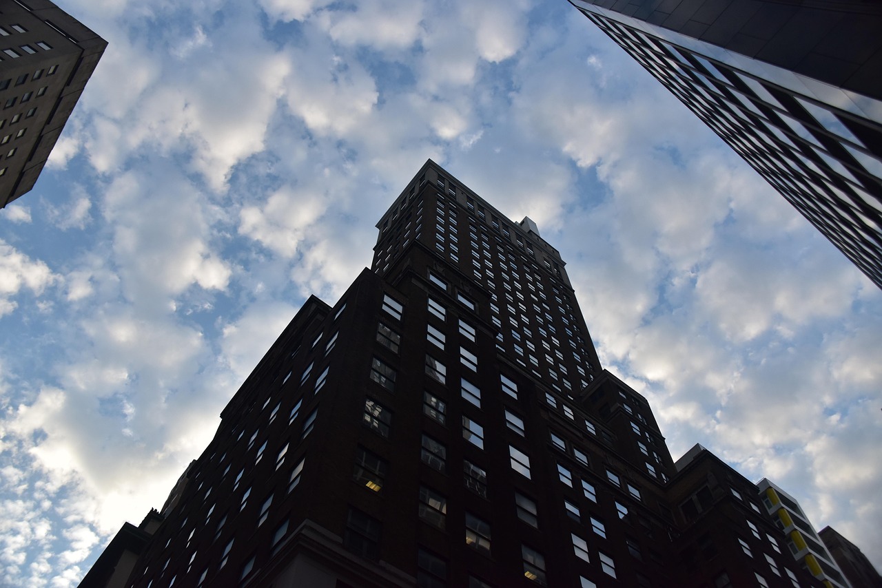 美国最新情感趋势探索,现代情感的多元展现