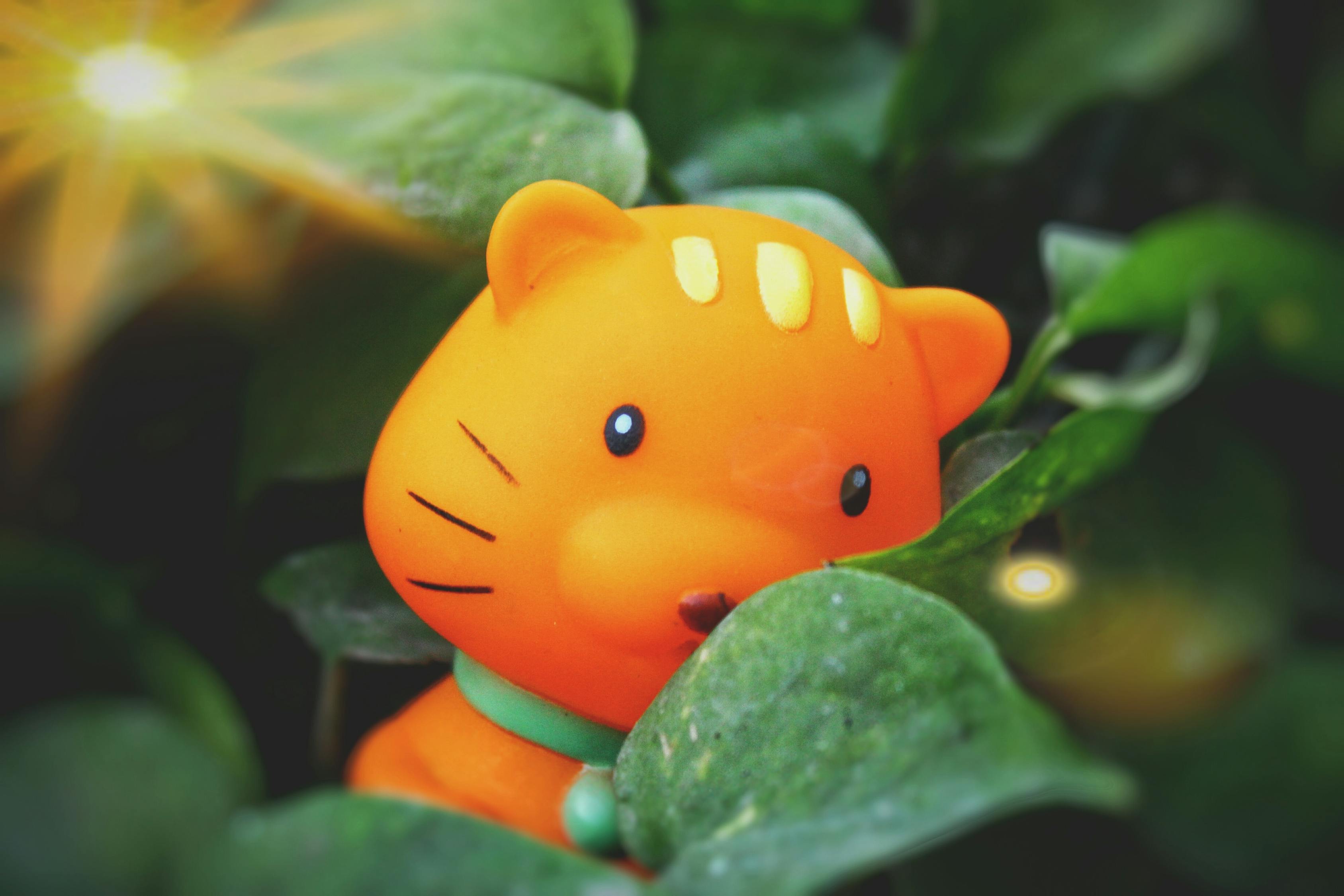 达菲熊最新动态,引领潮流前沿的新篇章探索