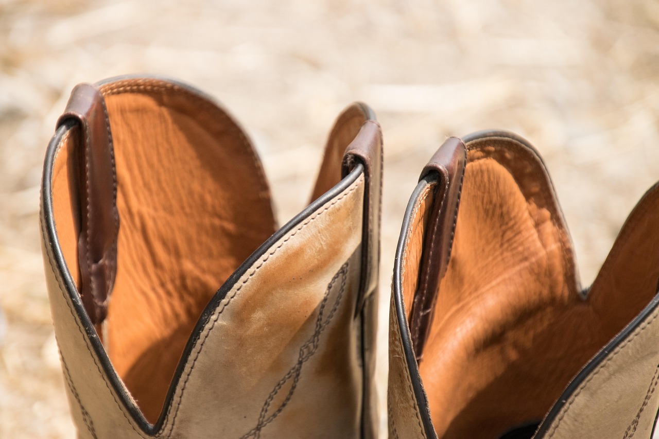 吉林疫情最新消息全面解读与最新动态