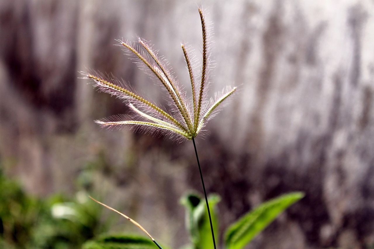 佛山创意园最新动态,创新发展前沿阵地揭秘