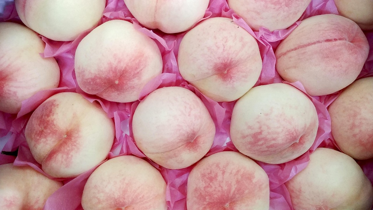 韩国李敏镐最新动态,娱乐圈的新篇章闪耀开启