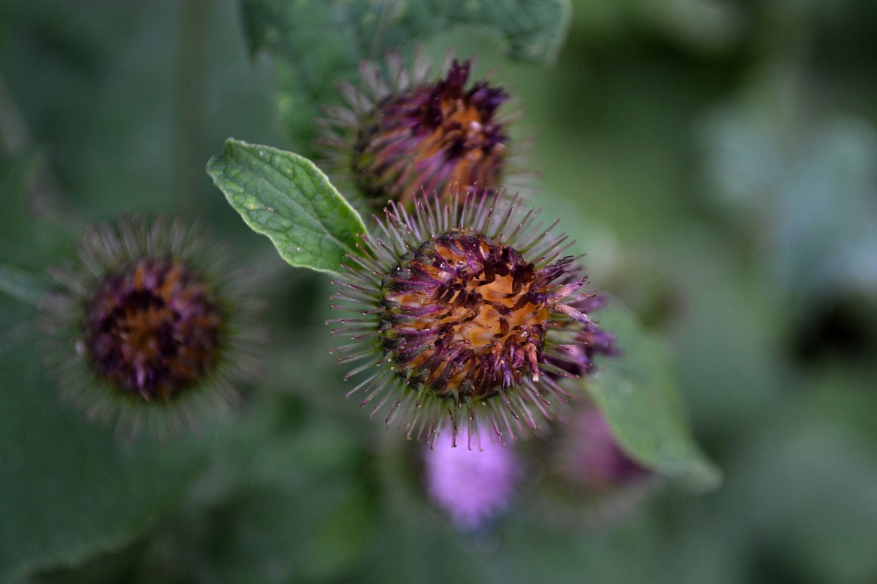 武进区最新发展动态概览
