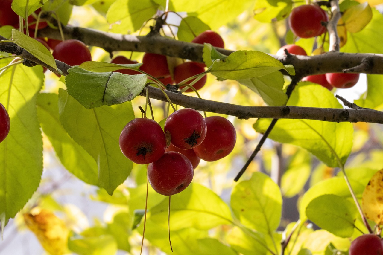 火箭最新动态,探索太空的新里程碑