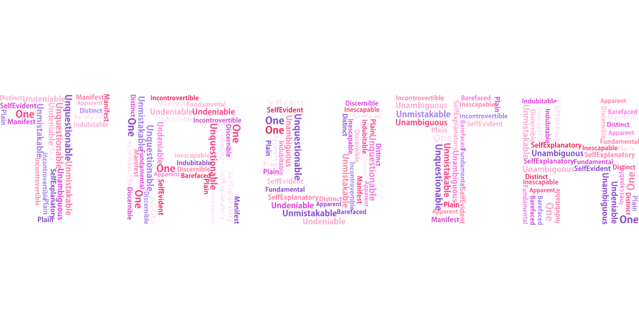 最新版字帖,重塑字迹之美,书写艺术新体验