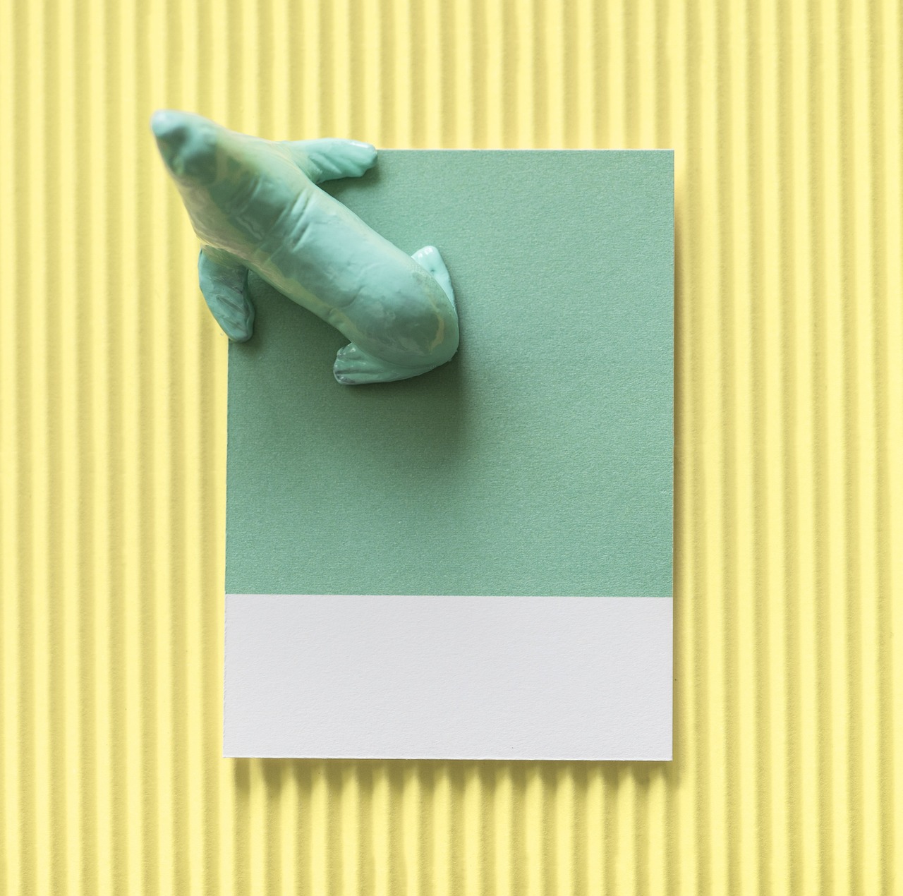 卓越微商最新动态,创新发展的微商业新模式揭秘