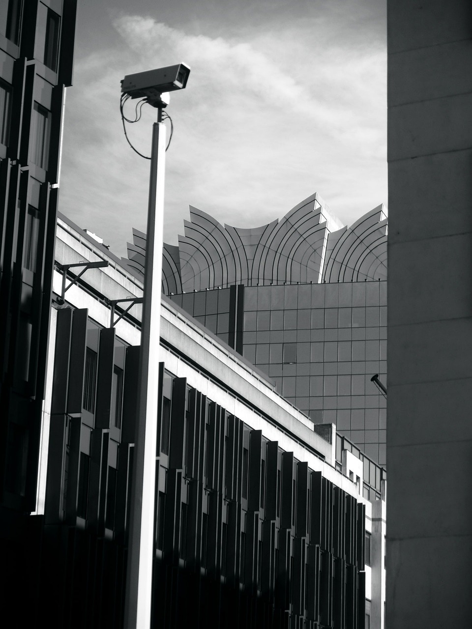 东岳观镇最新发展动态概览