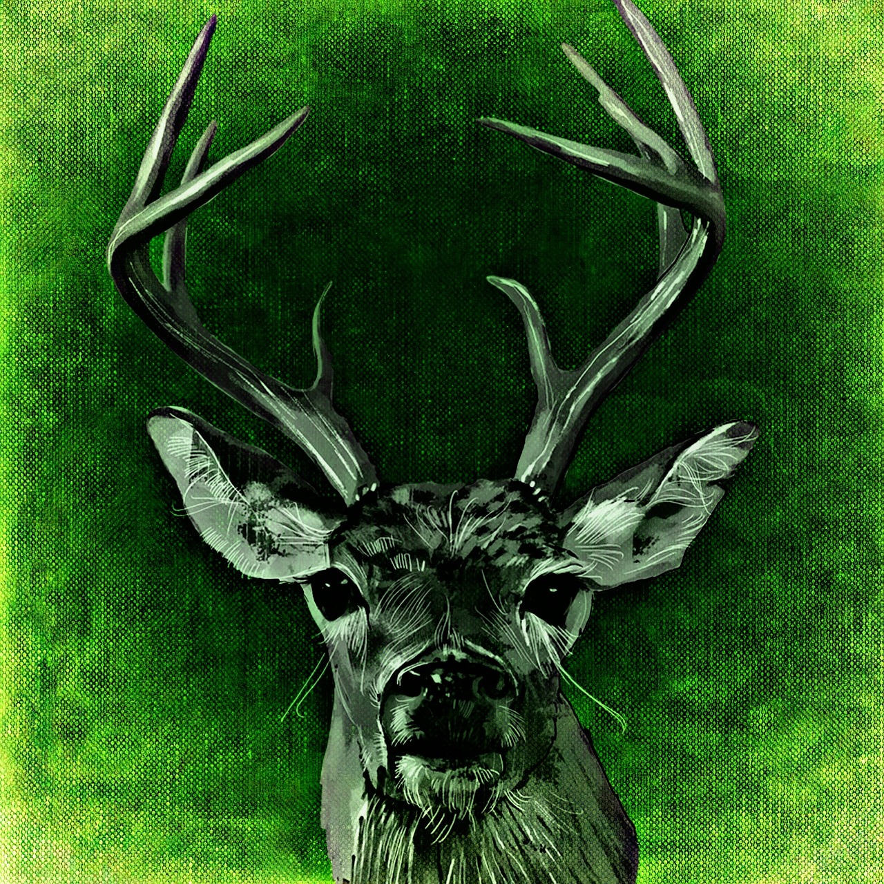 沃森生物最新动态,创新研发引领未来发展之路