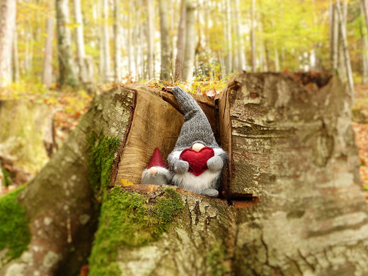 吴堡最新事件揭秘,小县城大事件的影响