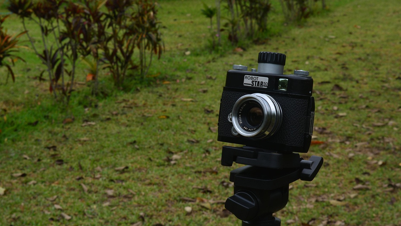 邓冰莹最新动态,照亮年轻人未来的光芒之星