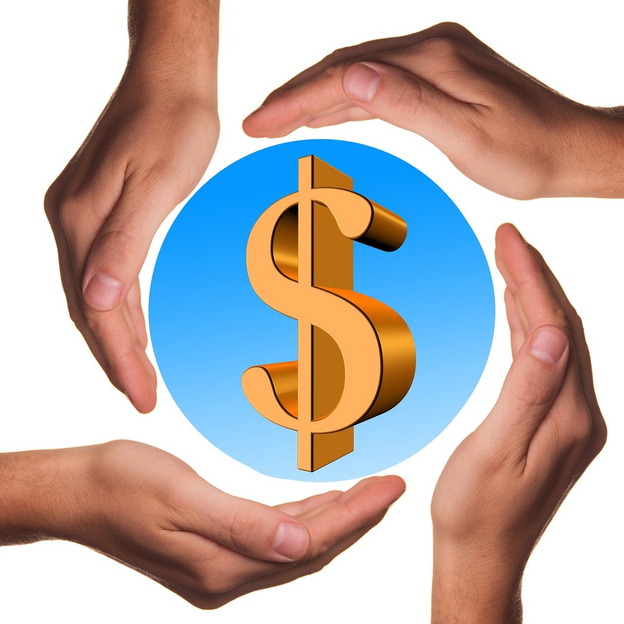 美国最新大选动向,预测与分析全解析